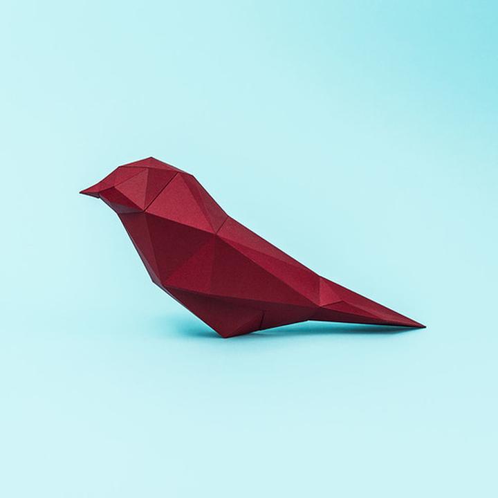 Zaskocz wszystkich: proste sposoby na strój ptaka z papieru