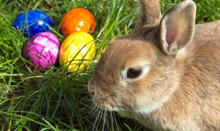 Tutorial krok po kroku