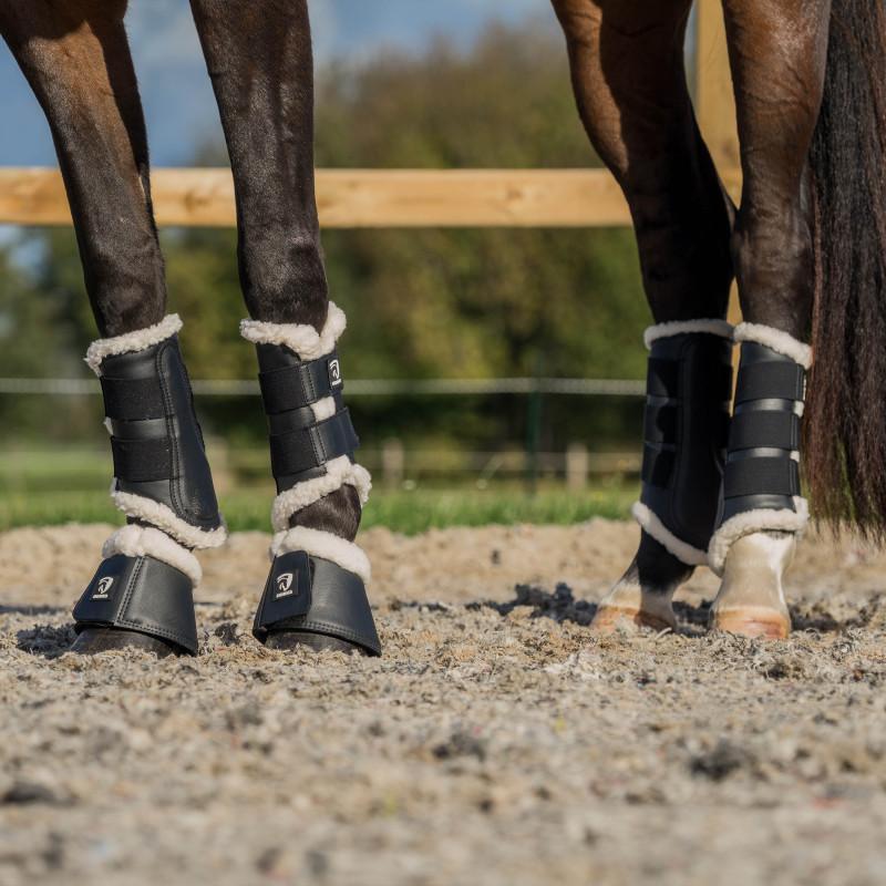 Ochraniacze dla koni – jak wybrać idealny rozmiar dla swojego rumaka?