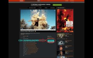 Odkryj najlepsze oferty lakierów do włosów online na CDA